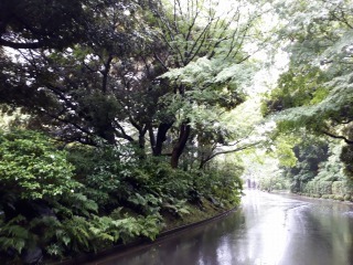s-20190615_152356.jpg